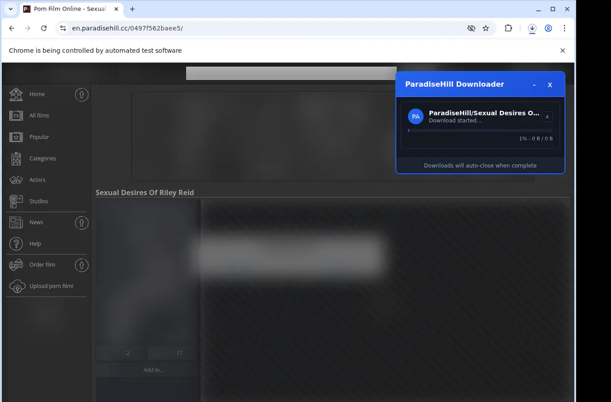 Paradisehill Video Downloader screenshot 2