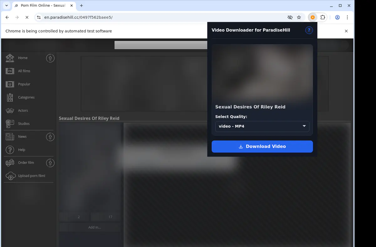 Paradisehill Video Downloader screenshot 3