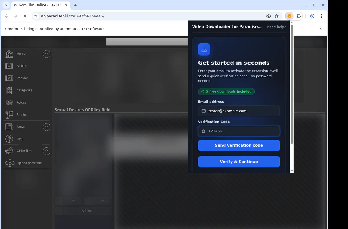 Paradisehill Video Downloader screenshot 4
