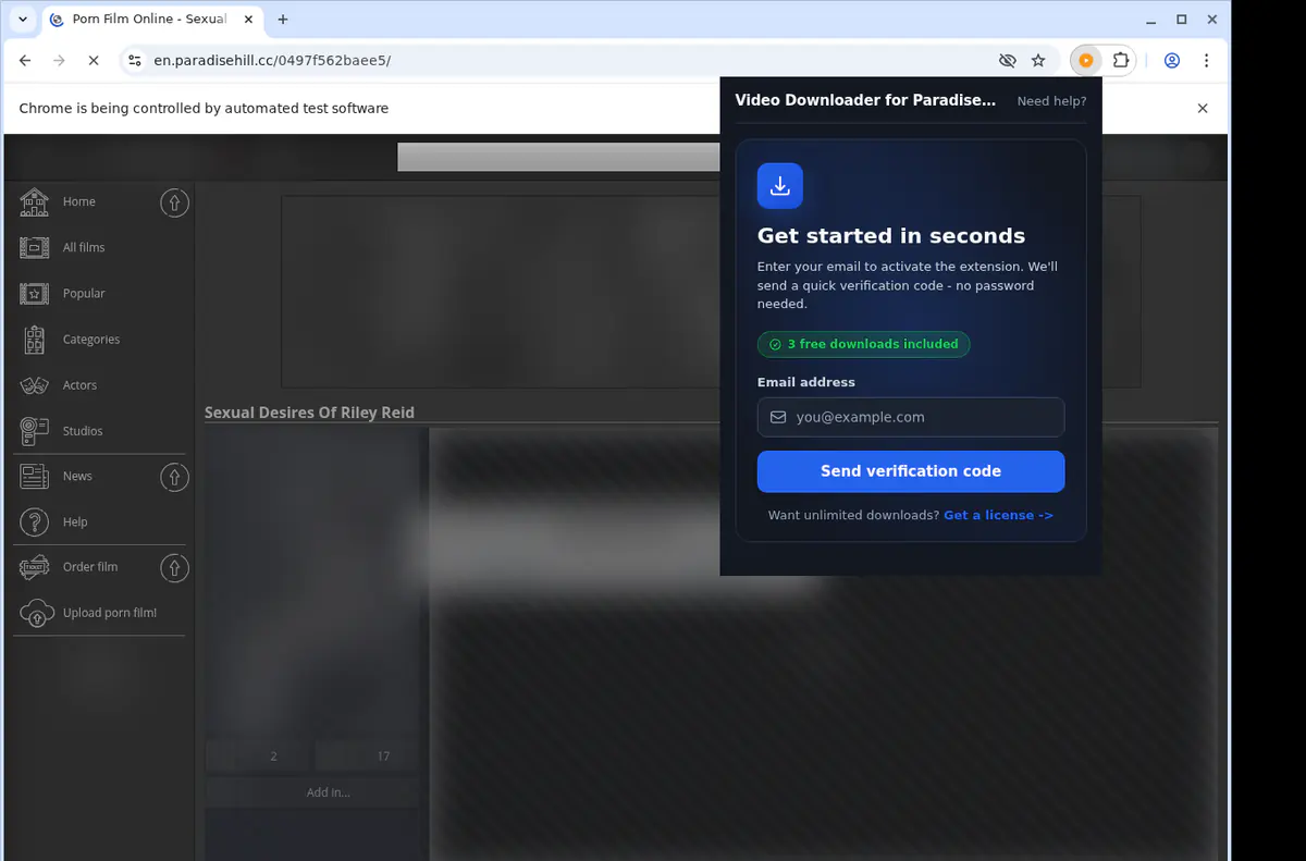 Paradisehill Video Downloader screenshot 5